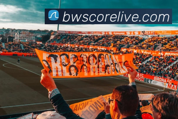 B威体育APP 体育赛事宣传图