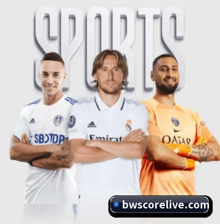 B威体育 APP - PSG